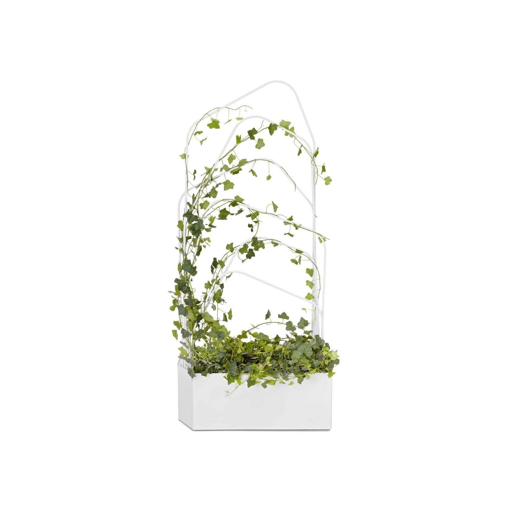 Green Divider by Louise Hederström gallery detail image