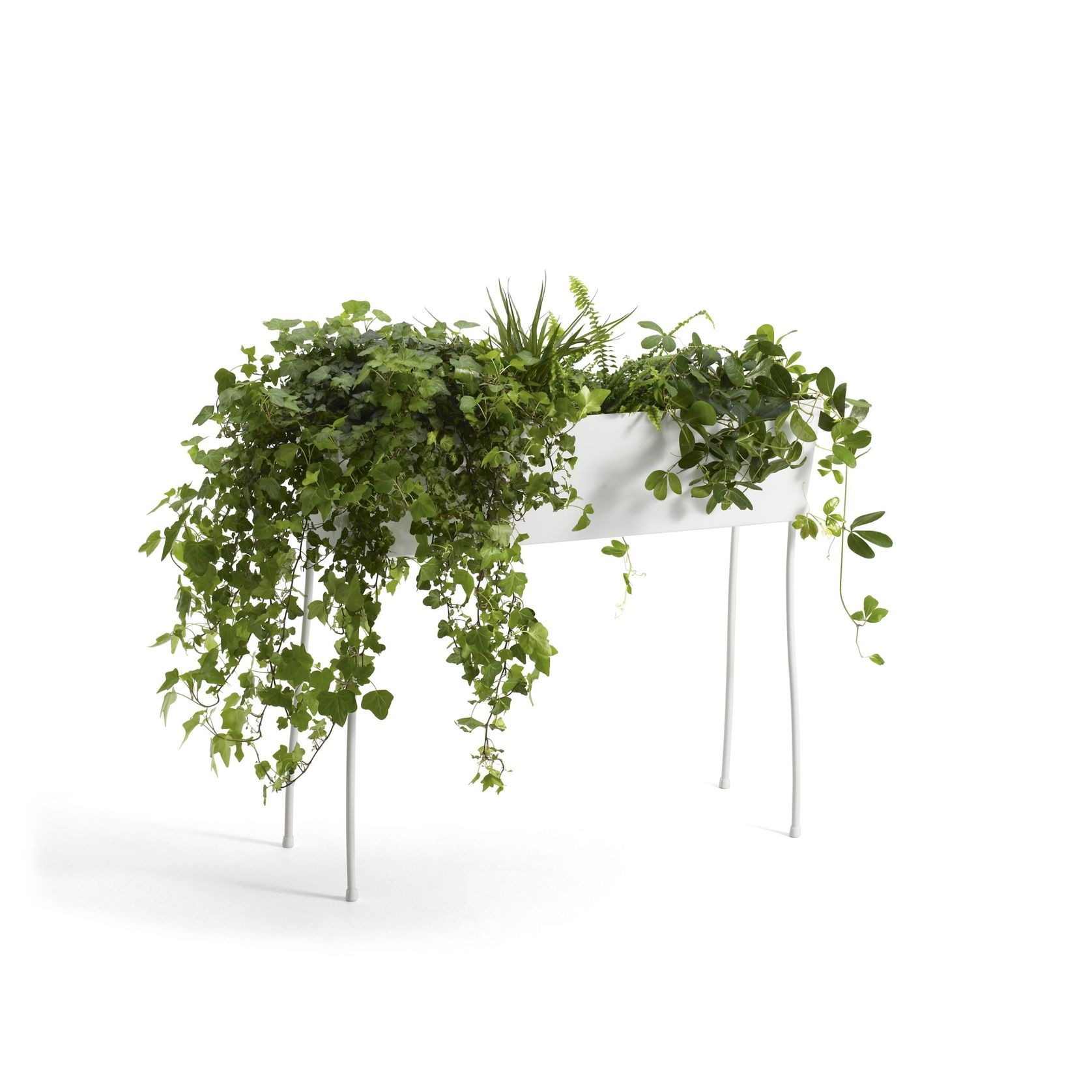 Green Pedestals Pot by Front gallery detail image