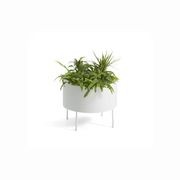 Green Pedestals Pot by Front gallery detail image