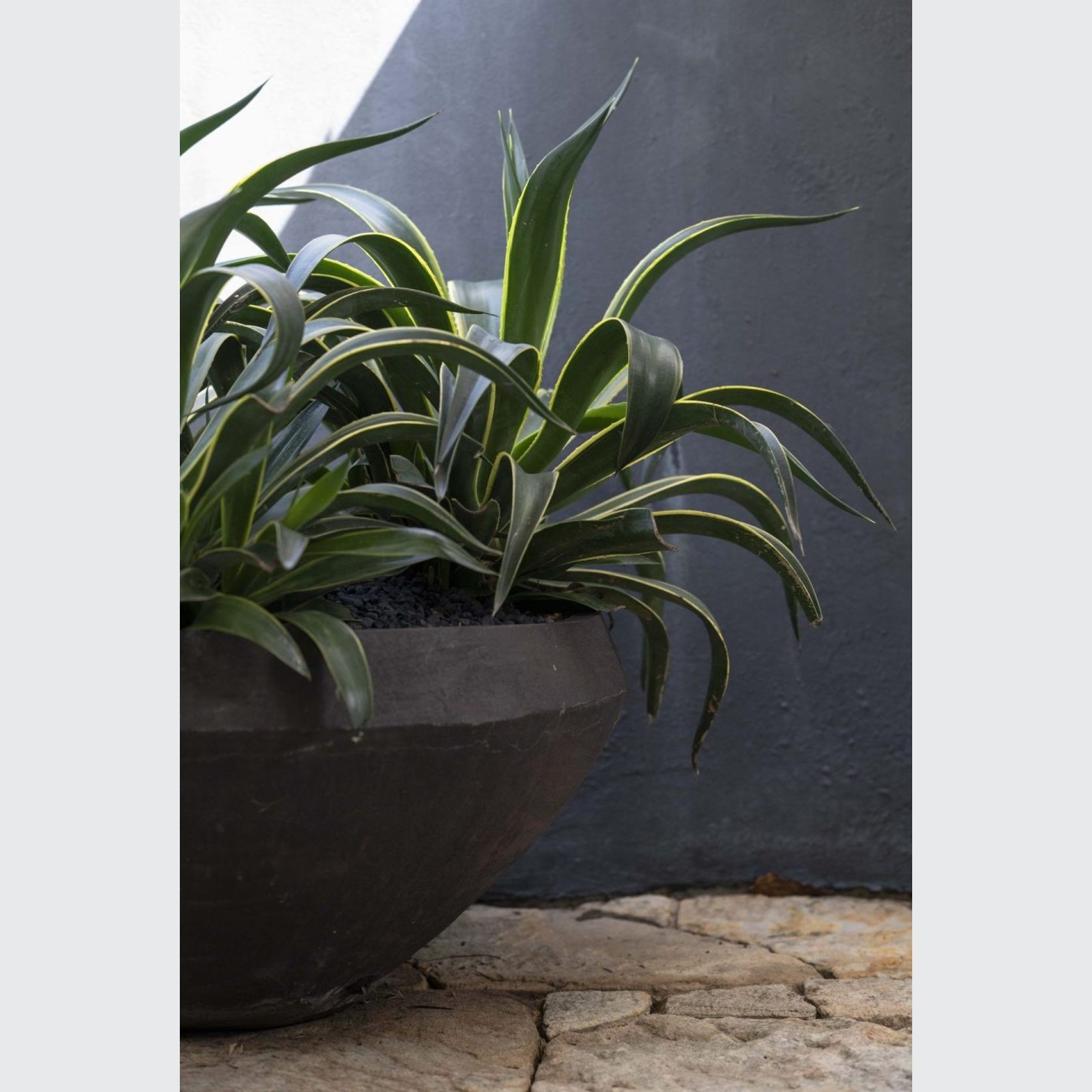 Woodfired Water Bowl gallery detail image