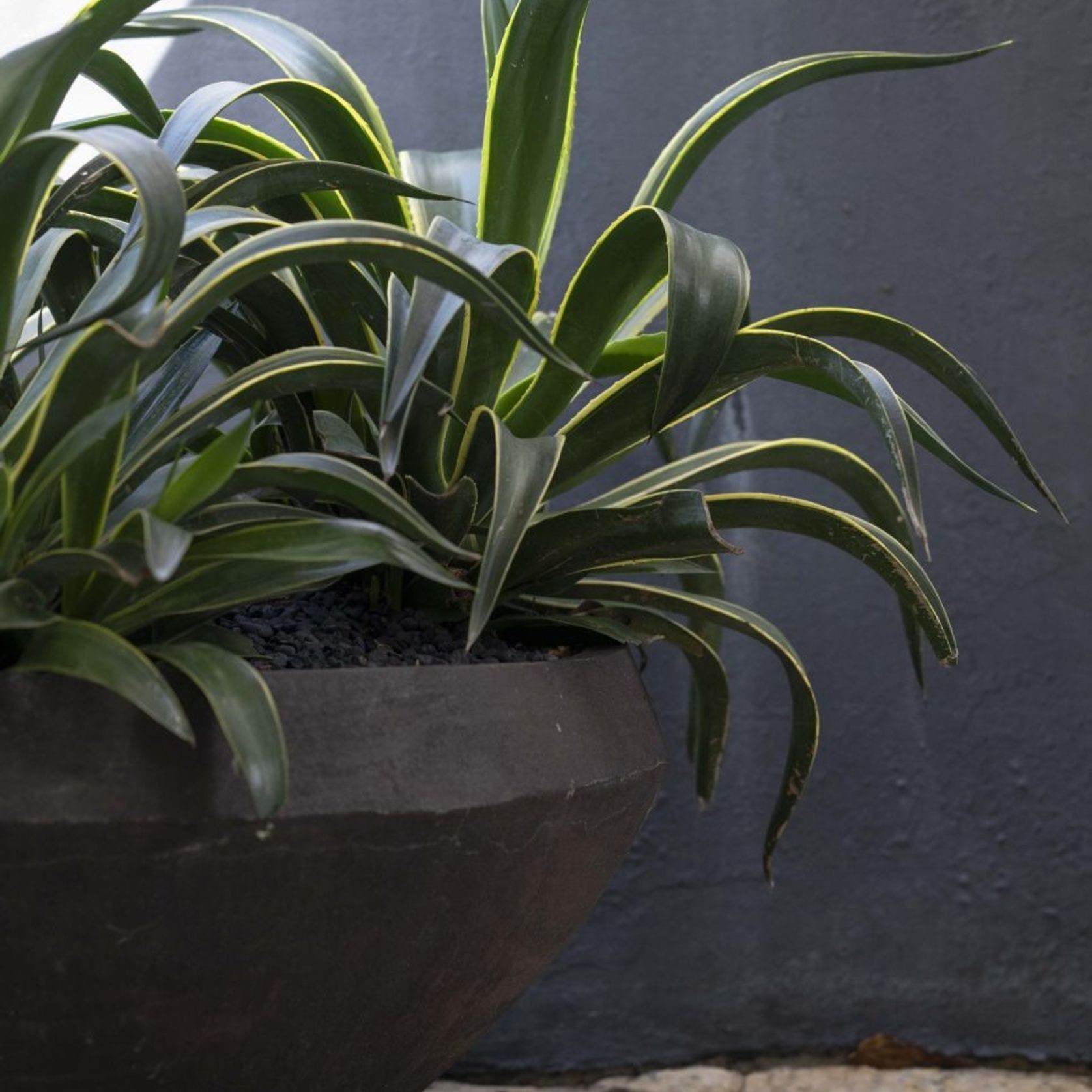 Woodfired Water Bowl gallery detail image