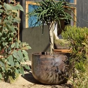 Woodfired Bullet gallery detail image