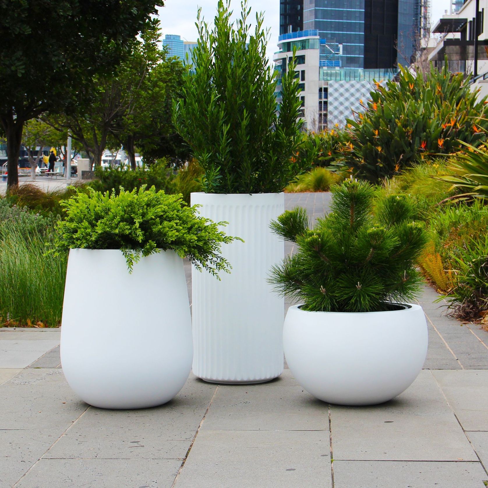 White Planter Cluster | Merlot, Doric & Cratera Bowl gallery detail image