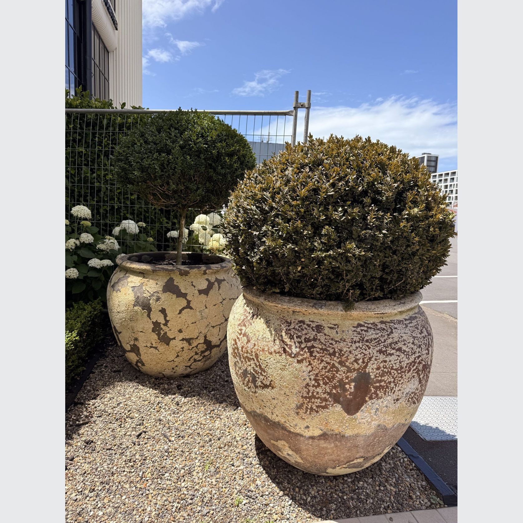 Atlantis - Opium Jar gallery detail image