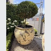 Atlantis - Opium Jar gallery detail image