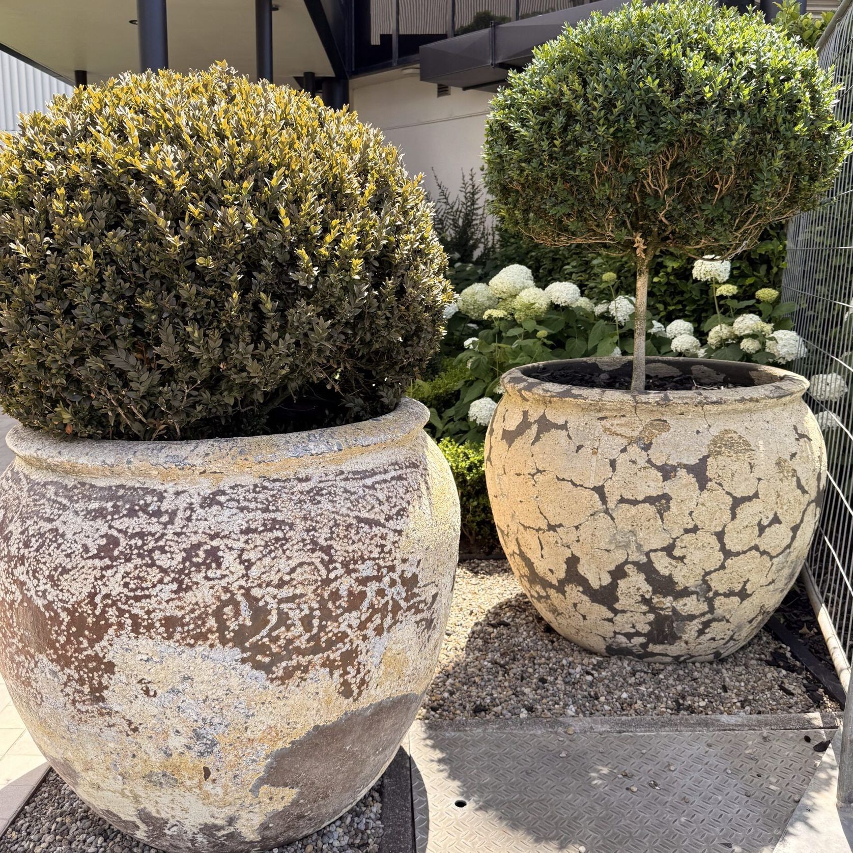 Atlantis - Opium Jar gallery detail image