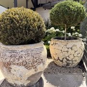 Atlantis - Opium Jar gallery detail image