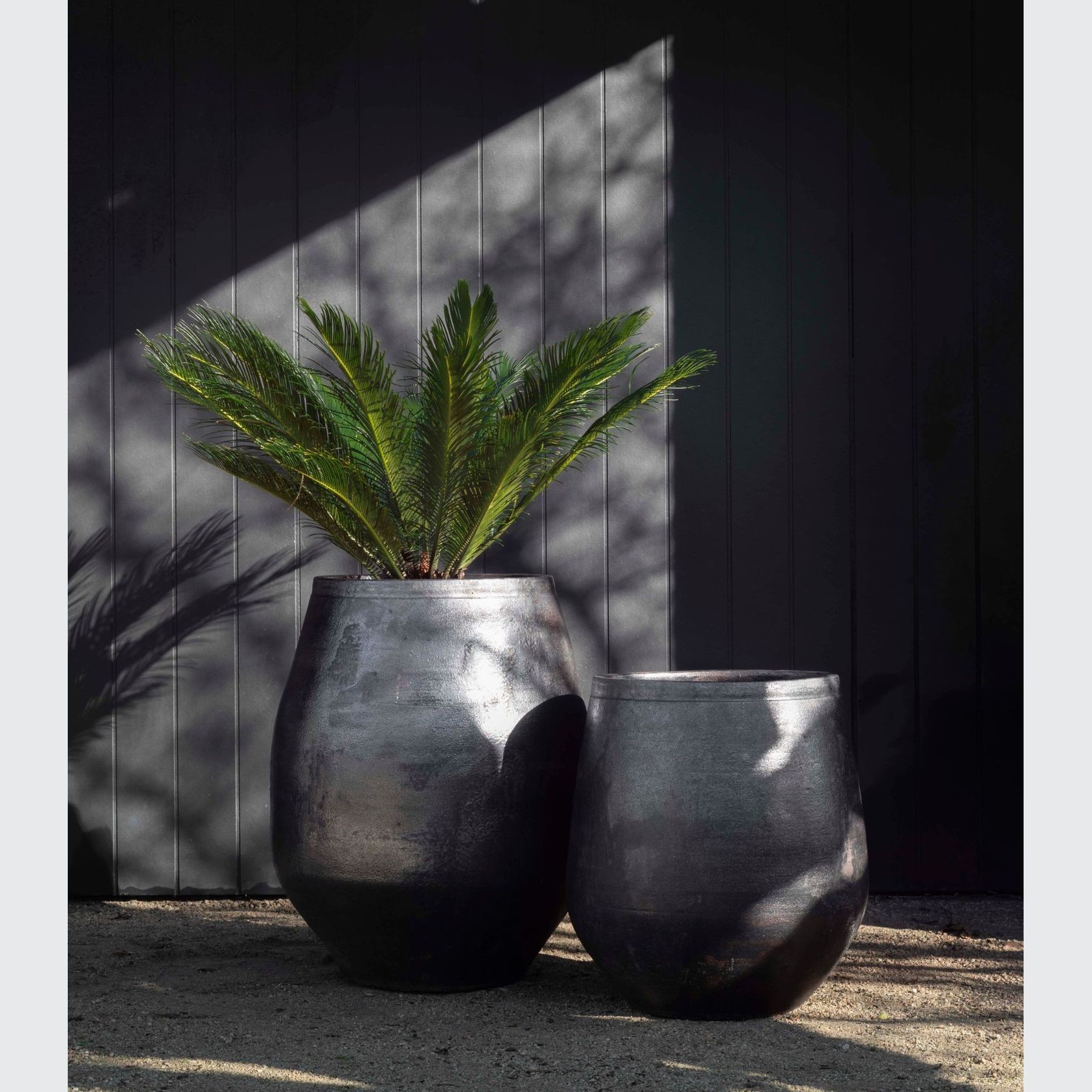 Woodfired Tulip gallery detail image