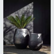 Woodfired Tulip gallery detail image