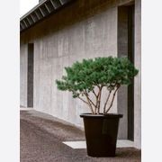 London Planter gallery detail image