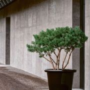 London Planter gallery detail image