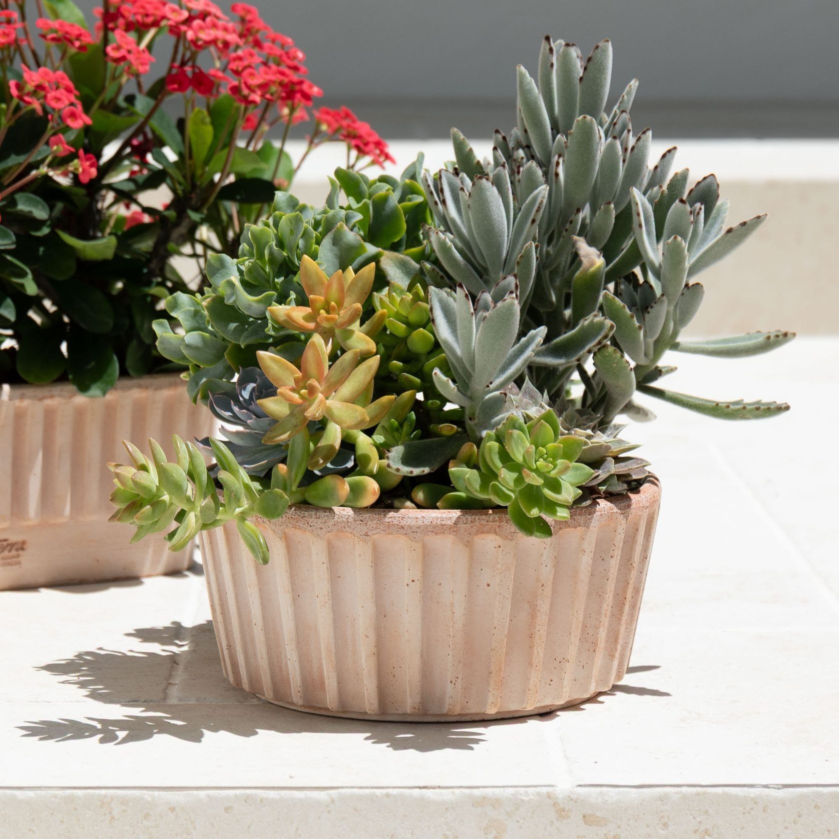 Rigato Lined Pots gallery detail image