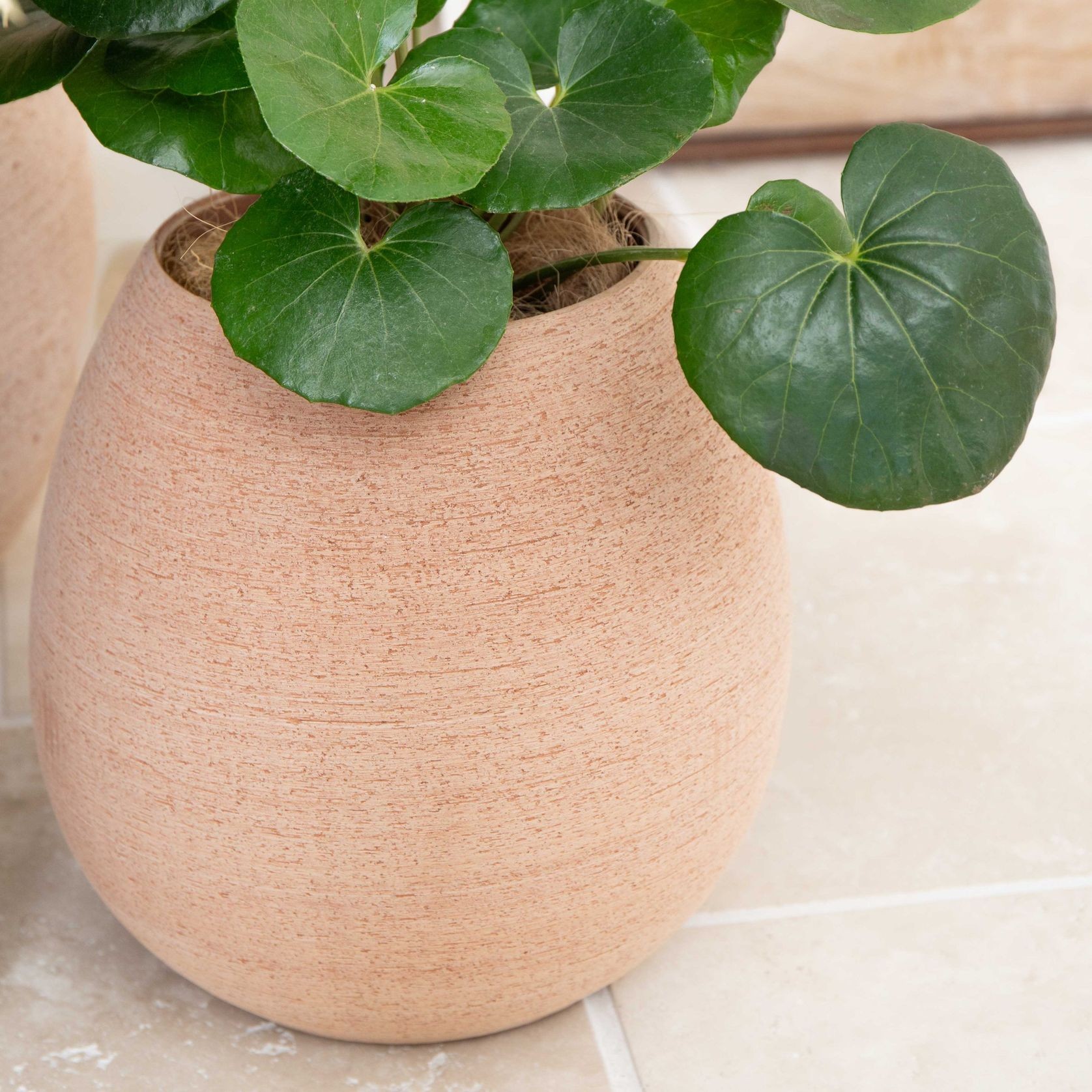 Murano Tall Cup gallery detail image