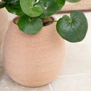 Murano Tall Cup gallery detail image