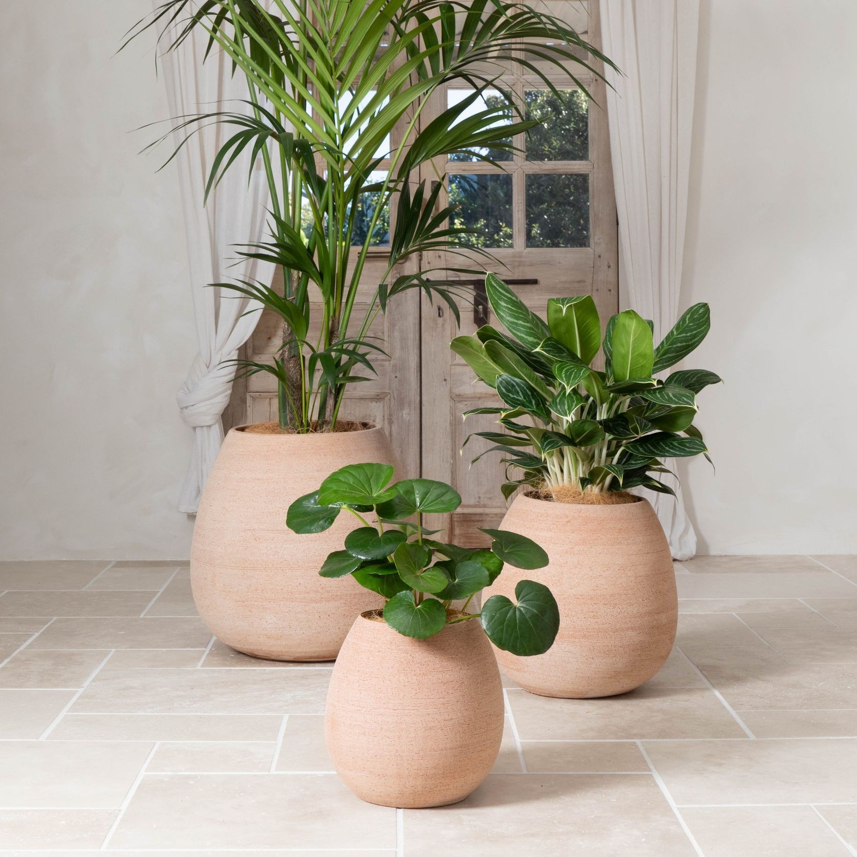 Murano Tall Cup gallery detail image