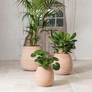 Murano Tall Cup gallery detail image