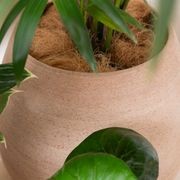 Murano Tall Cup gallery detail image