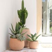 Murano Tall Cup gallery detail image