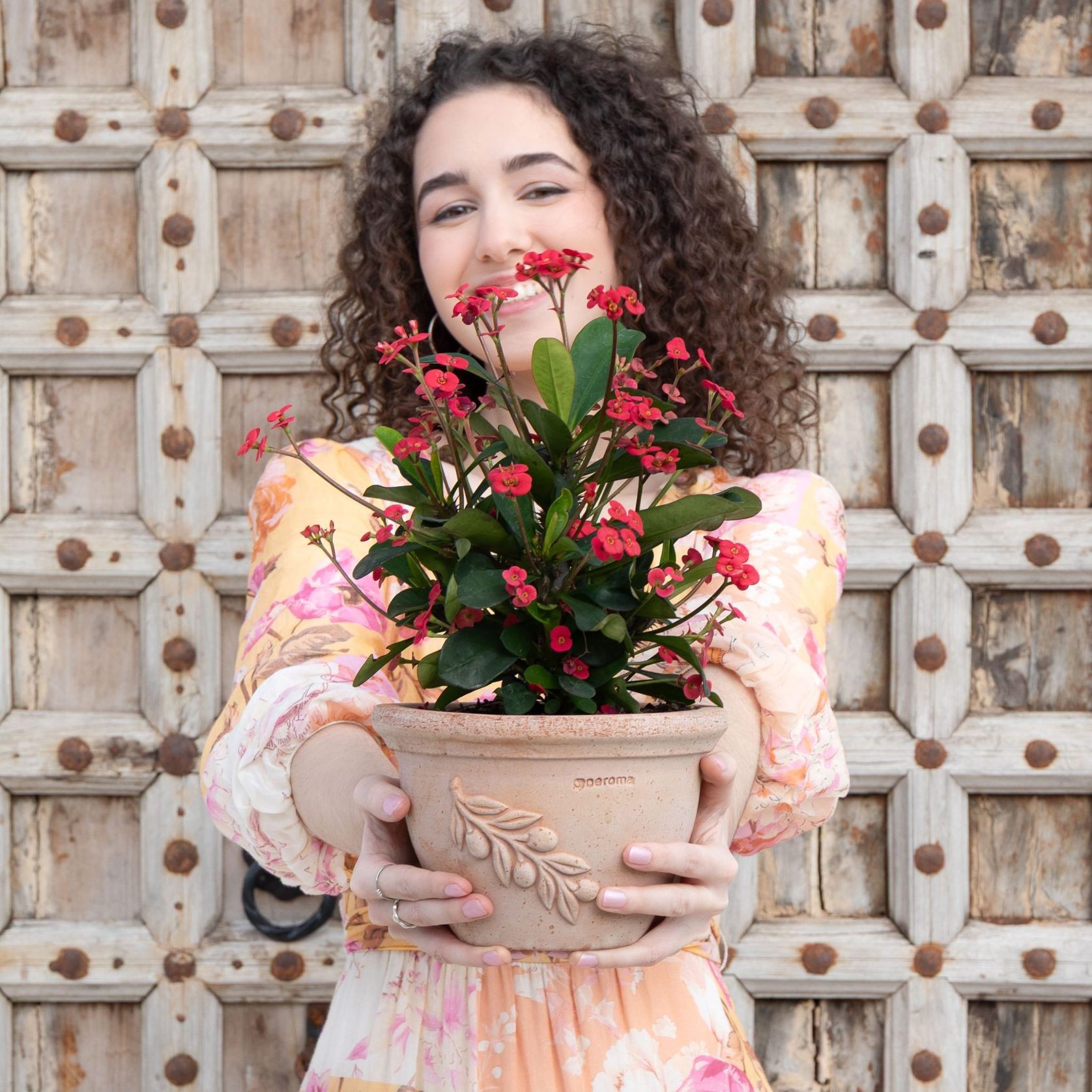 Olive Bowls & Pots gallery detail image