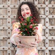 Olive Bowls & Pots gallery detail image