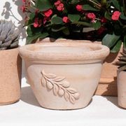 Olive Bowls & Pots gallery detail image