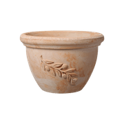 Olive Bowls & Pots gallery detail image