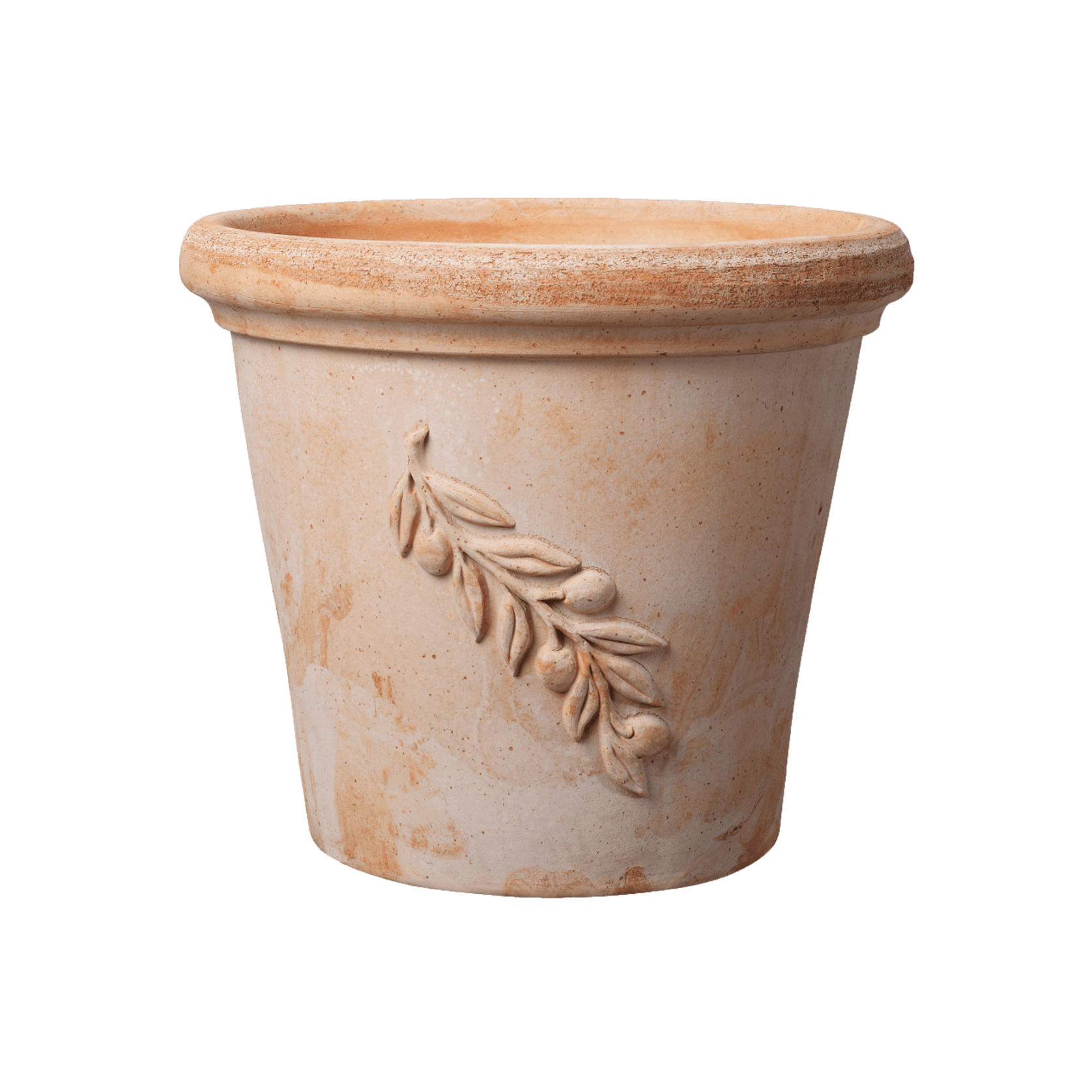 Olive Bowls & Pots gallery detail image