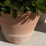 Perugia Pot gallery detail image