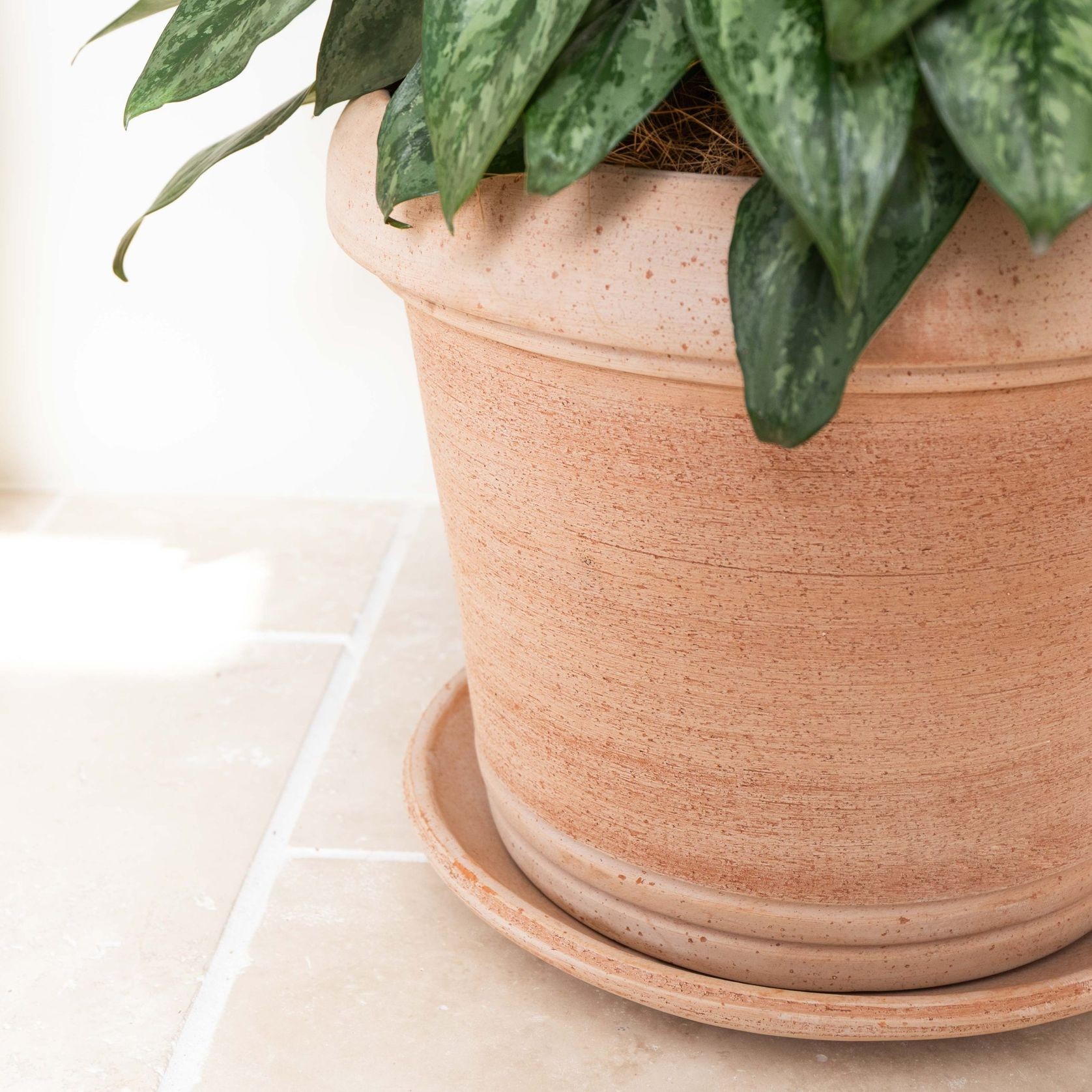 Querceto Cylinder gallery detail image