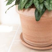 Querceto Cylinder gallery detail image