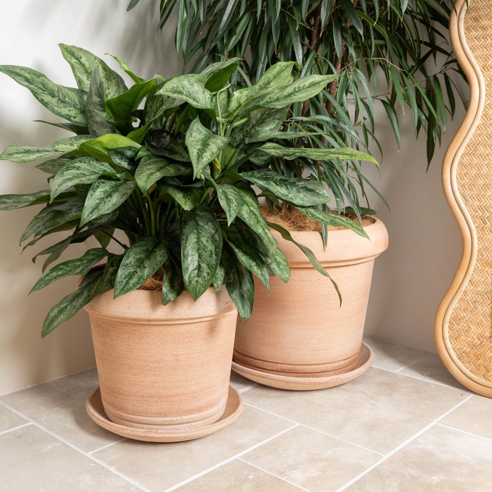 Querceto Cylinder gallery detail image