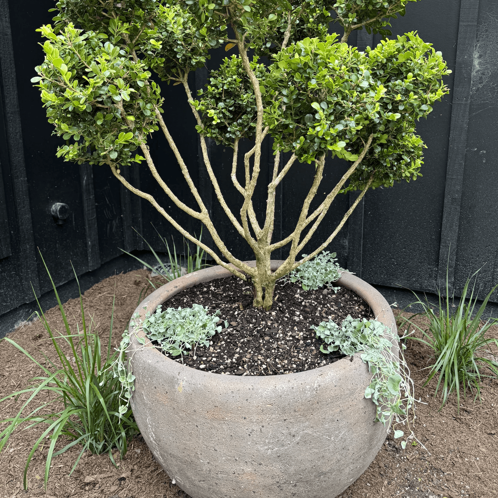 Old Stone - Ball Planter gallery detail image