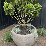 Old Stone - Ball Planter gallery detail image