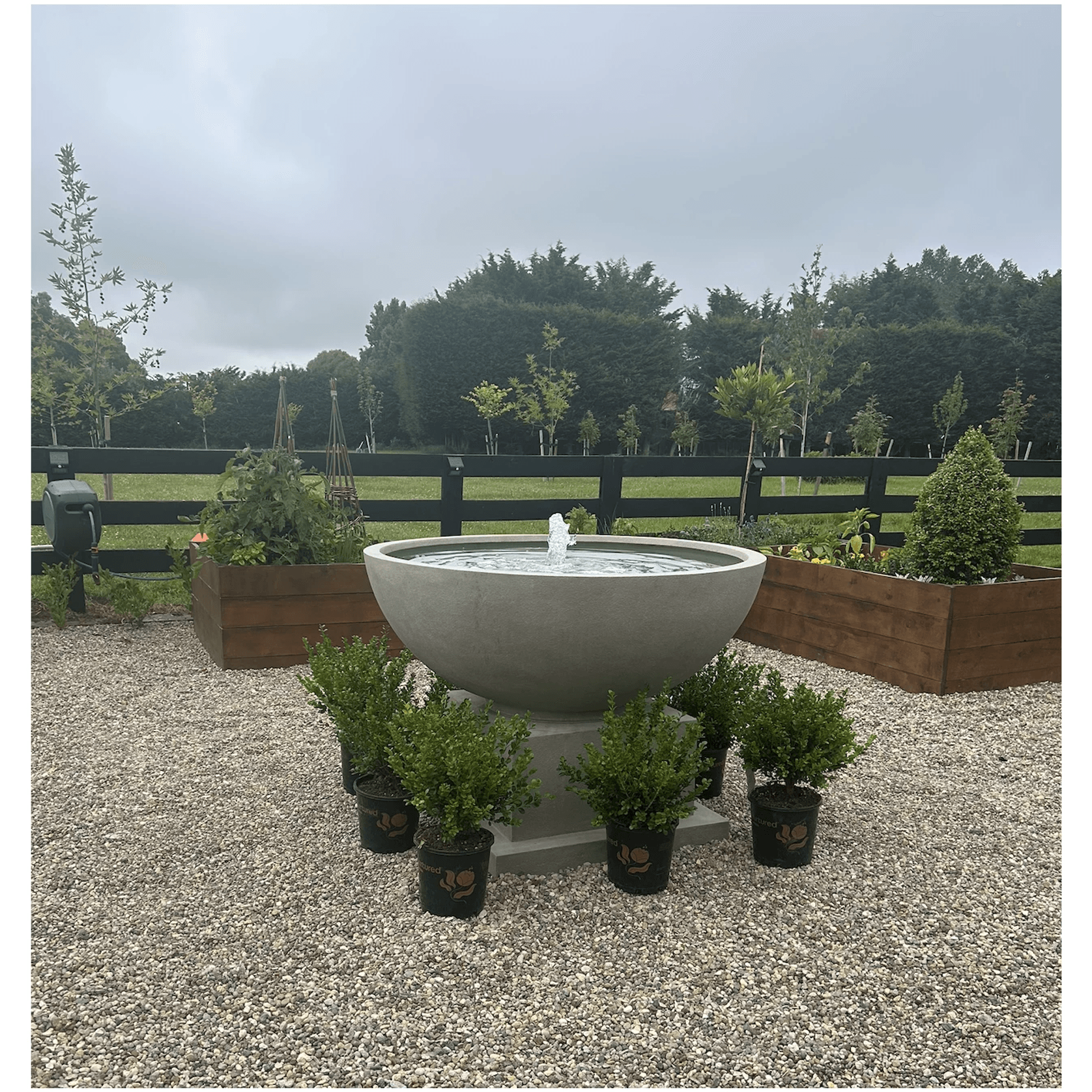 Volcano Bowl and Base gallery detail image