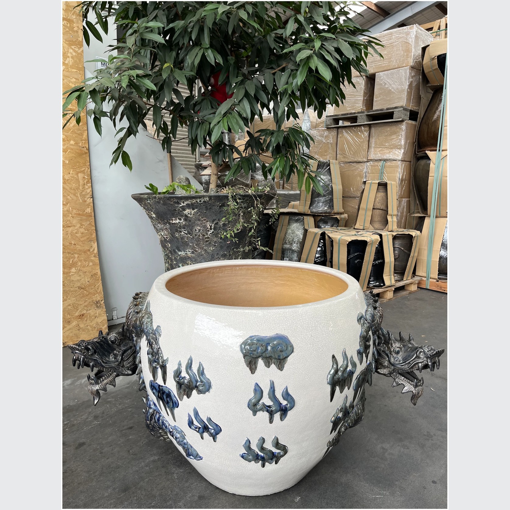 Dragon Planter gallery detail image