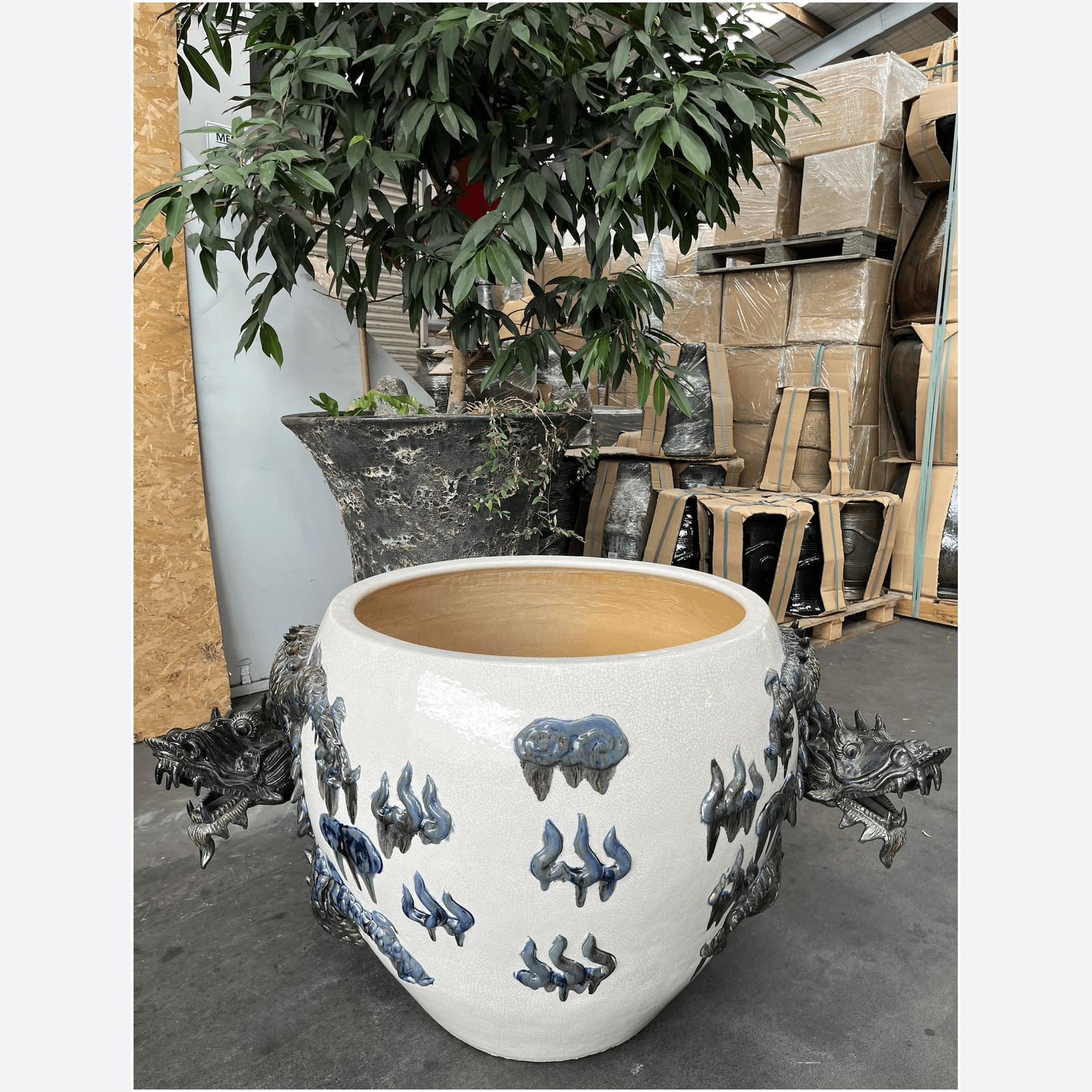 Dragon Planter gallery detail image