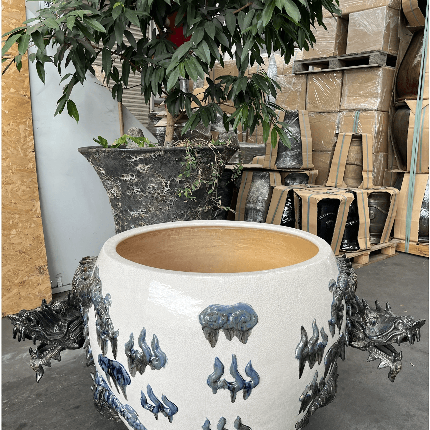 Dragon Planter gallery detail image