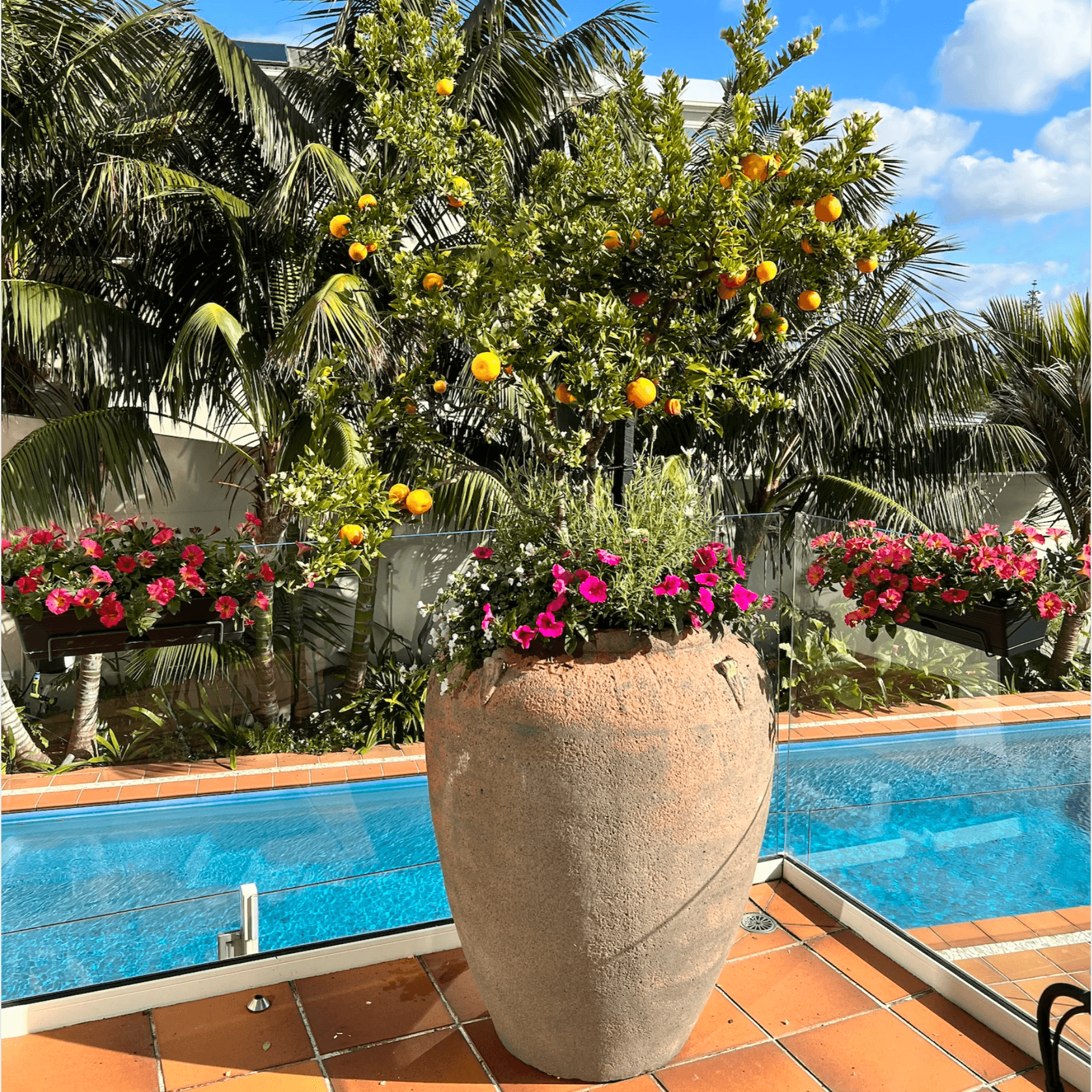 Old Stone - Pickle Jar gallery detail image