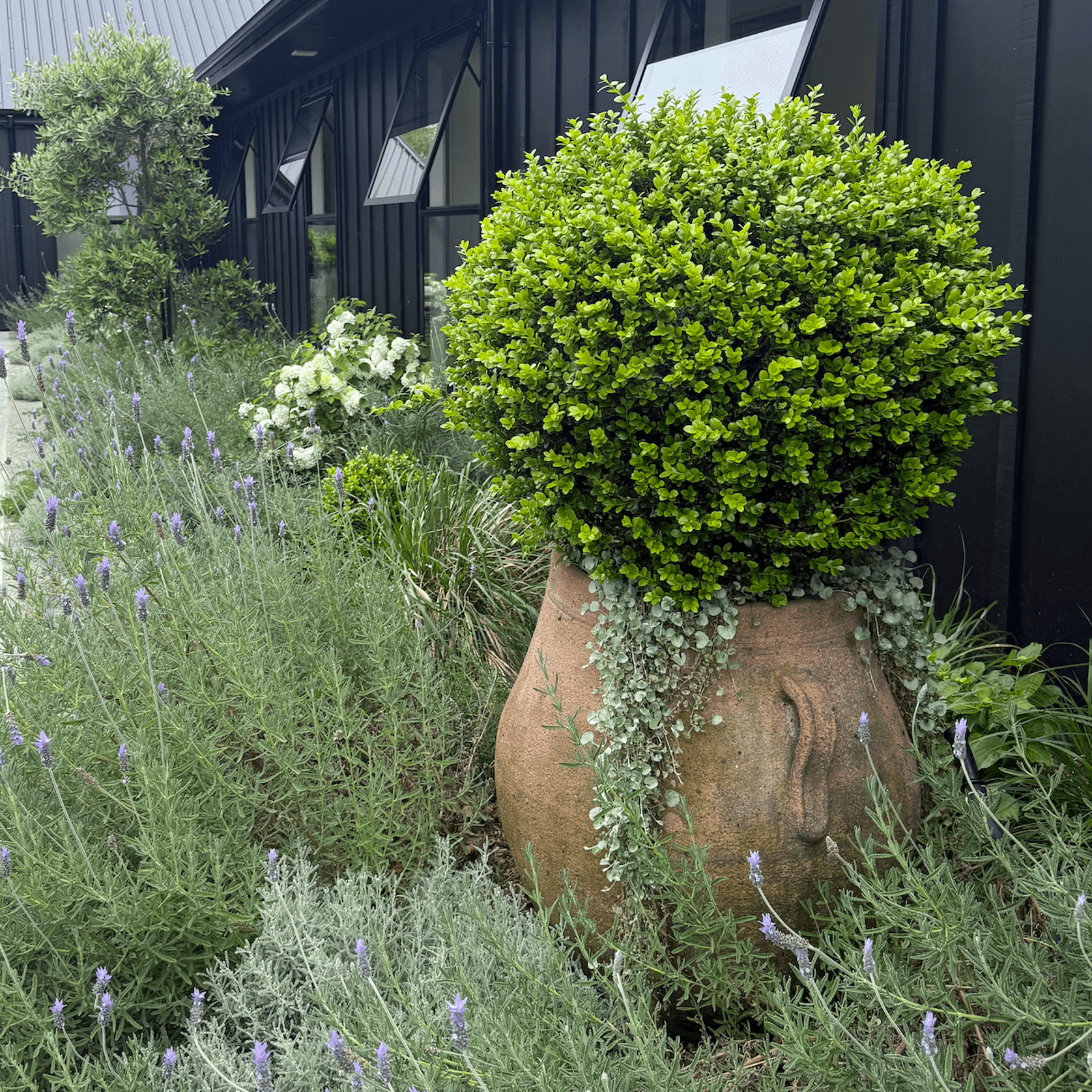 Old Stone - Ibis Jar gallery detail image