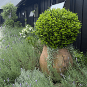 Old Stone - Ibis Jar gallery detail image