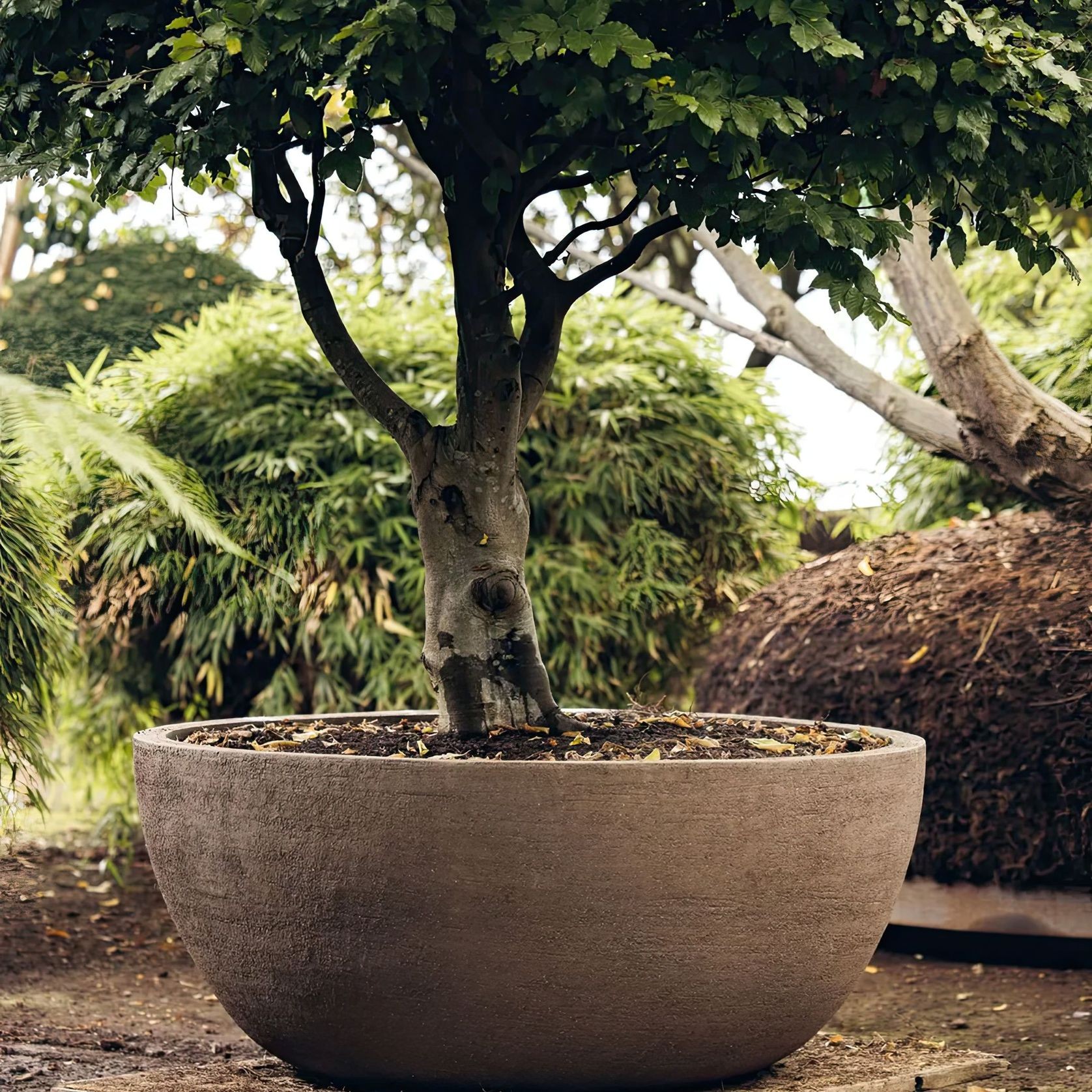 Texel Planter gallery detail image