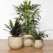 Uppsala Short Cup gallery detail image