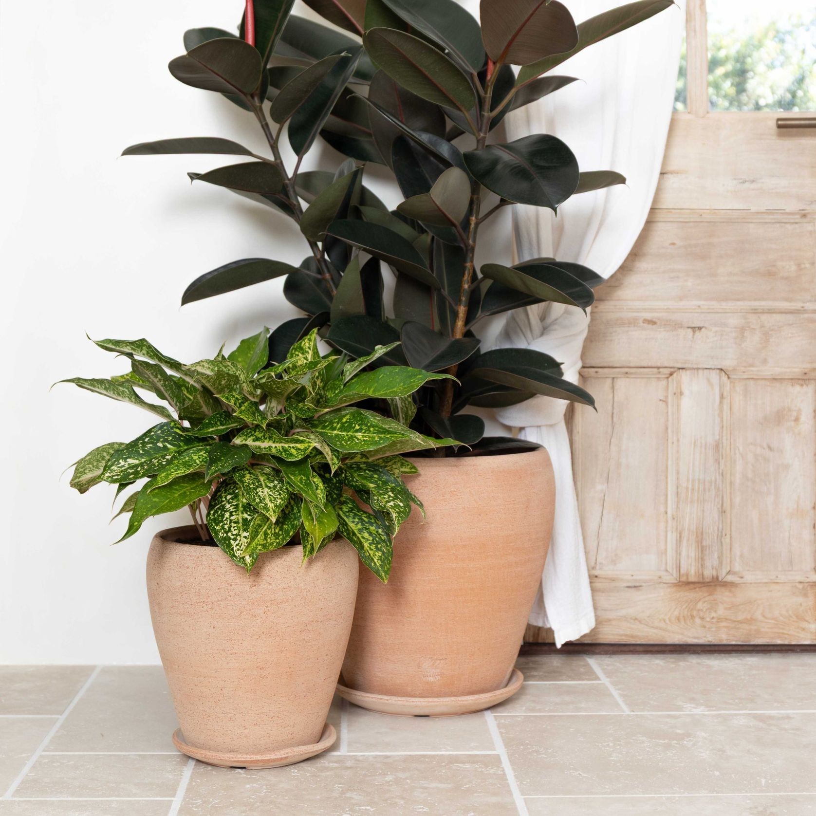 Volterra Pot gallery detail image