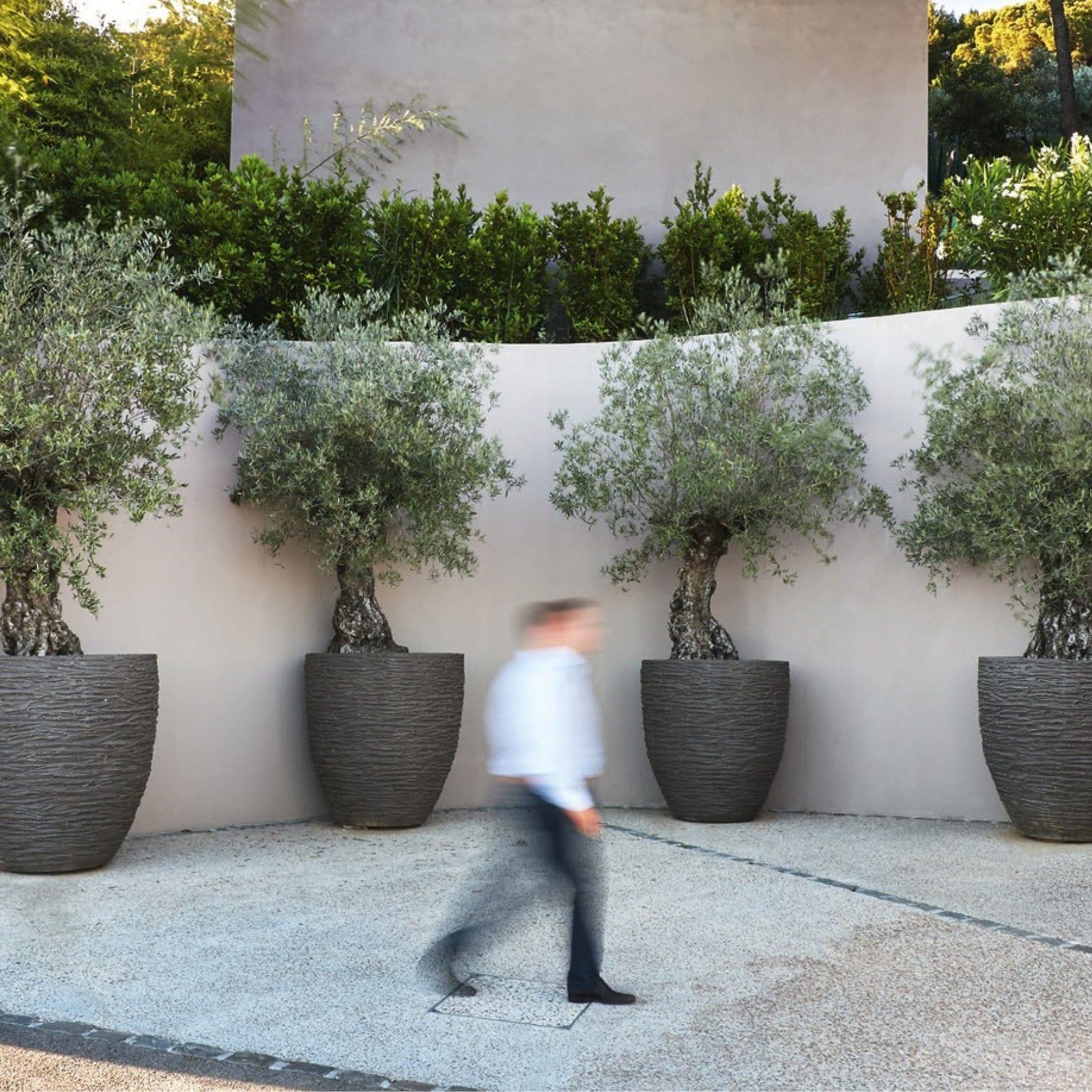 AUB gallery detail image