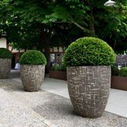 AUS gallery detail image