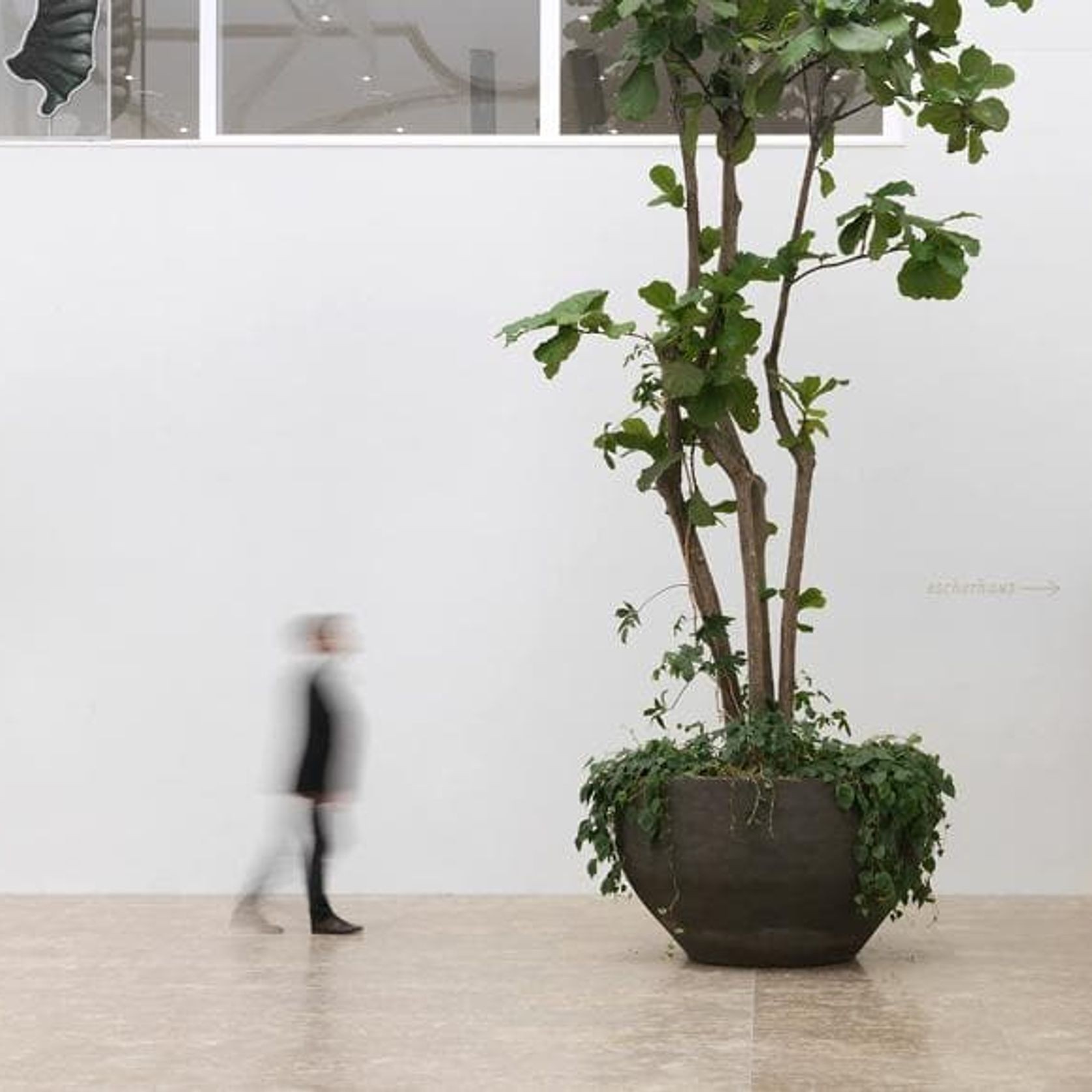 U gallery detail image