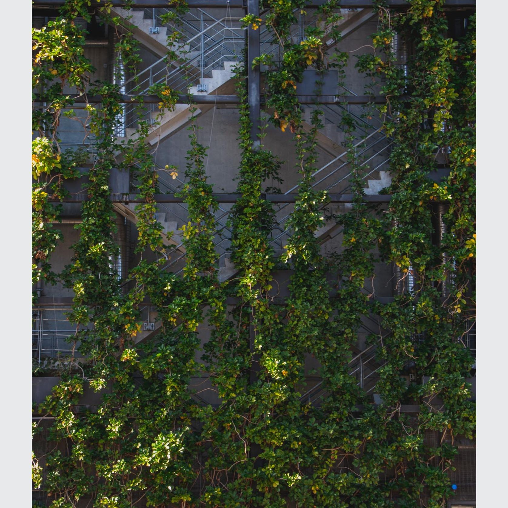 Green Wall Support Systems gallery detail image