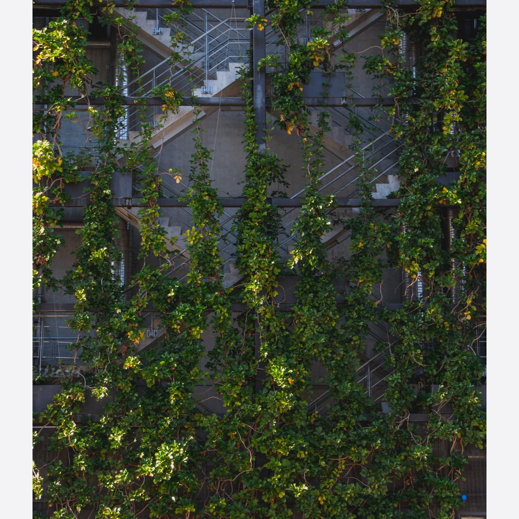 Green Wall Support Systems gallery detail image