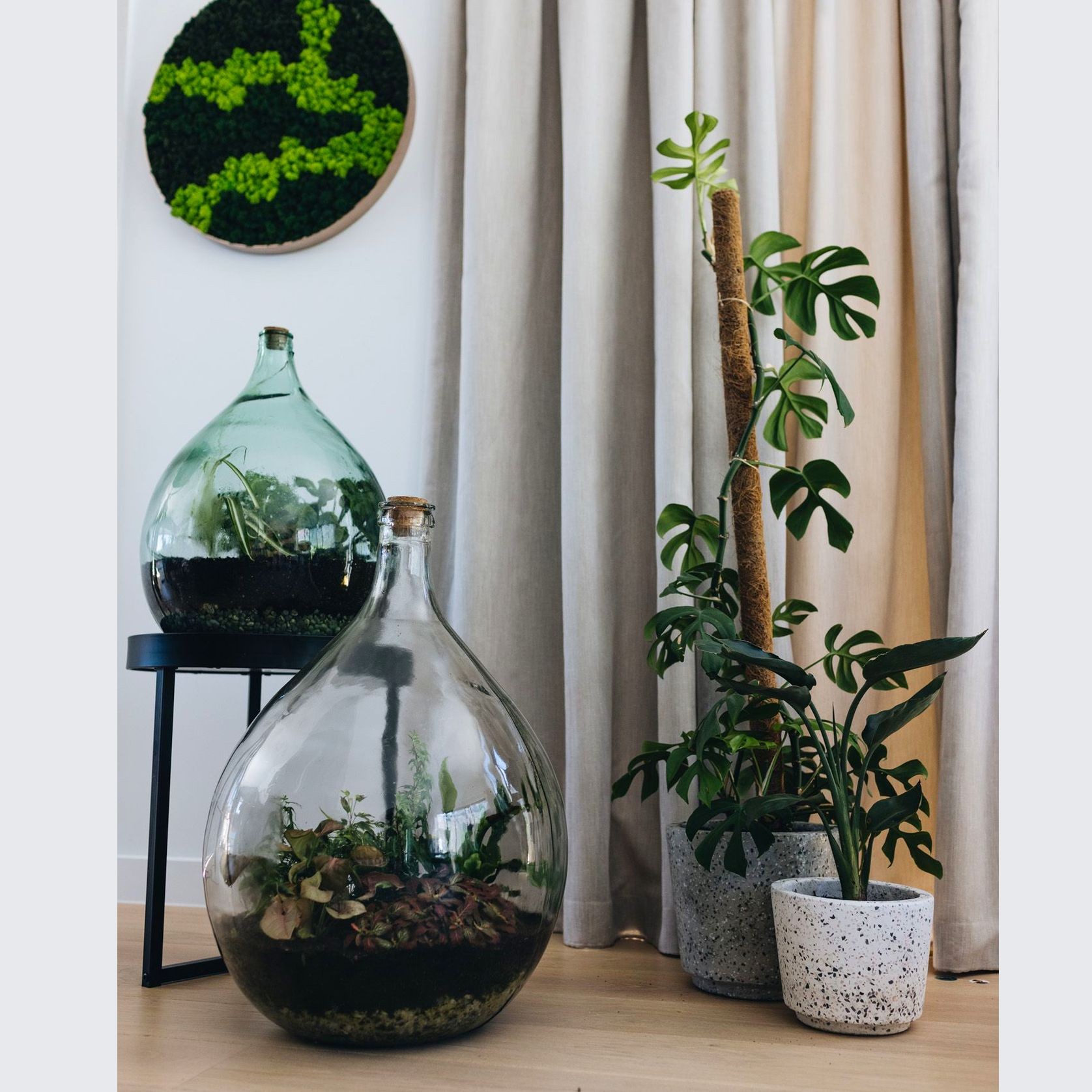 Bottle Terrarium ArchiPro NZ