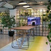 Indoor Plant Hire | Hire Plants gallery detail image